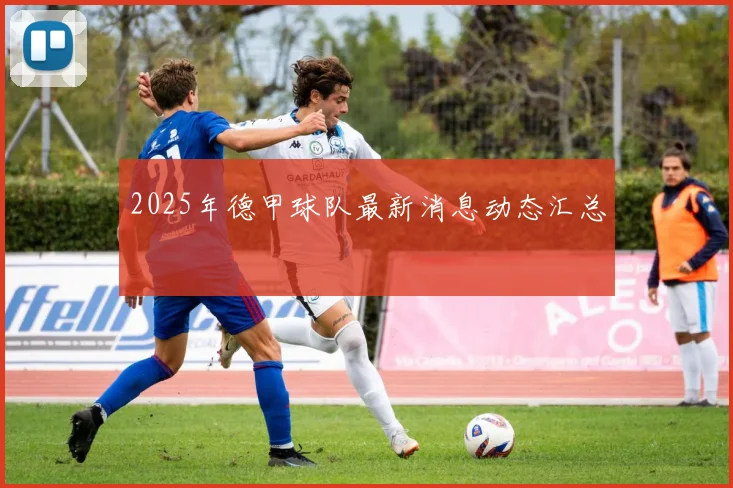 2025年德甲球队最新消息动态汇总