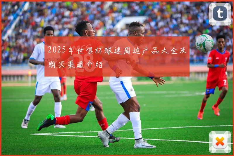 2025年世俱杯球迷周边产品大全及购买渠道介绍