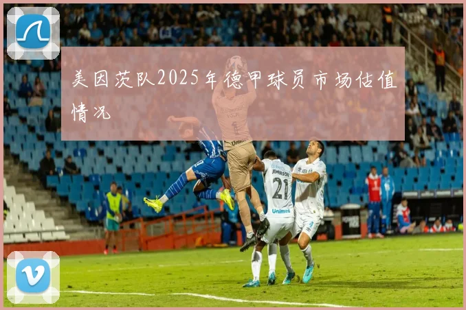 美因茨队2025年德甲球员市场估值情况