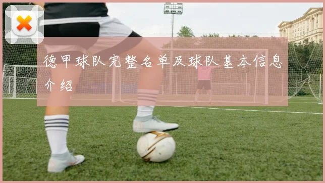德甲球队完整名单及球队基本信息介绍