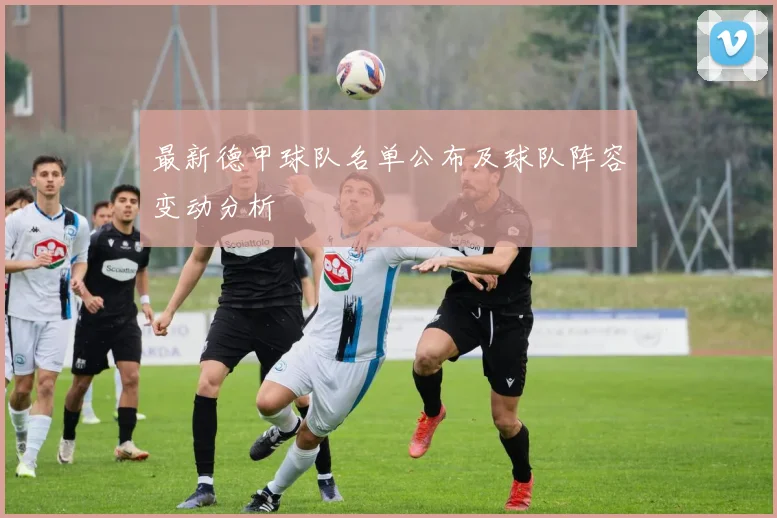 最新德甲球队名单公布及球队阵容变动分析